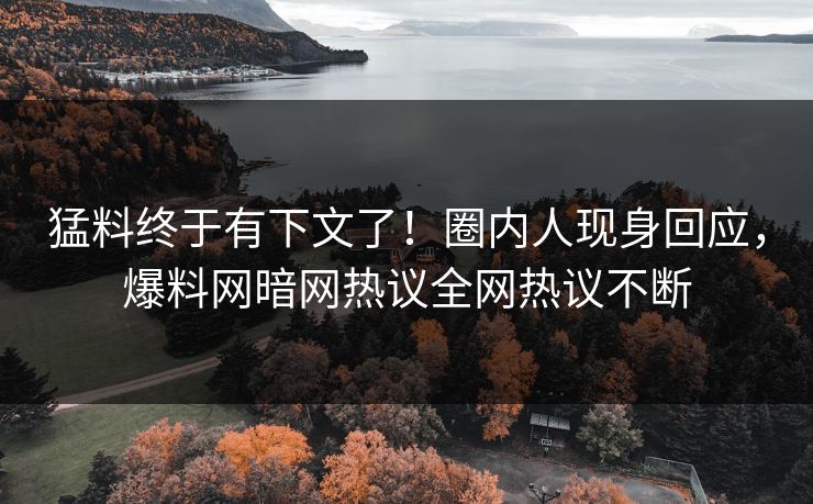 猛料终于有下文了!圈内人现身回应,爆料网暗网热议全网热议不断