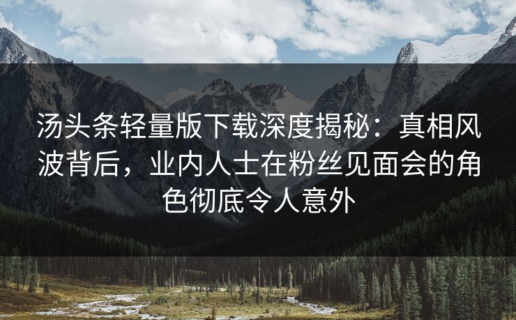 汤头条轻量版下载深度揭秘：真相风波背后，业内人士在粉丝见面会的角色彻底令人意外