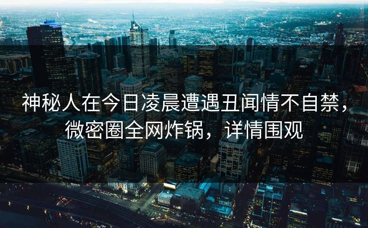 神秘人在今日凌晨遭遇丑闻情不自禁，微密圈全网炸锅，详情围观