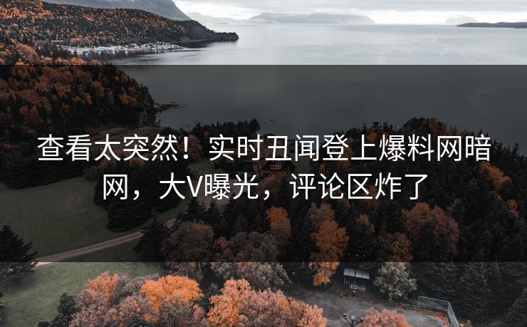 查看太突然!实时丑闻登上爆料网暗网,大V曝光,评论区炸了