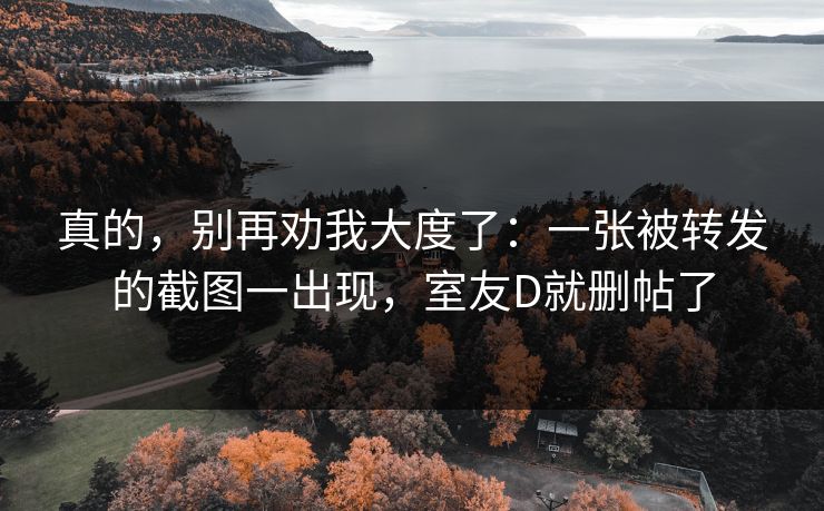 真的，别再劝我大度了：一张被转发的截图一出现，室友D就删帖了