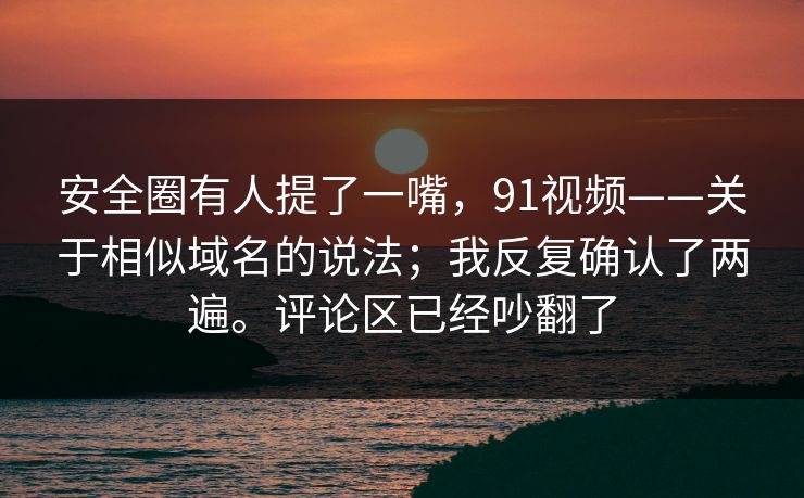 安全圈有人提了一嘴，91视频——关于相似域名的说法；我反复确认了两遍。评论区已经吵翻了