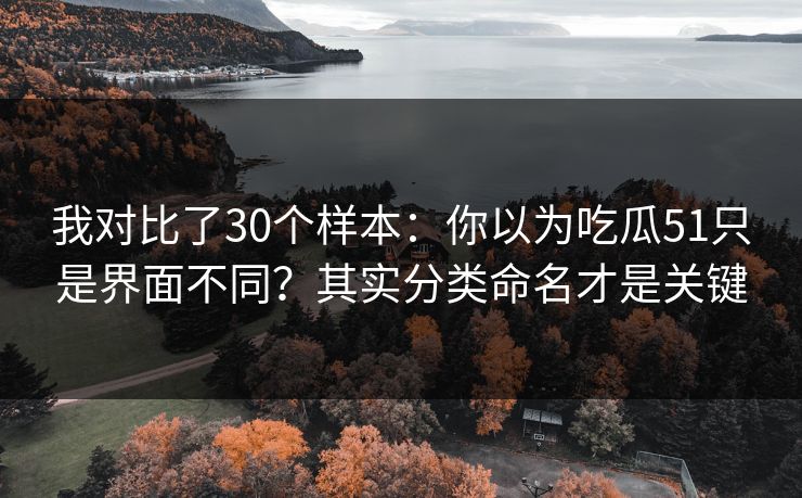 我对比了30个样本：你以为吃瓜51只是界面不同？其实分类命名才是关键